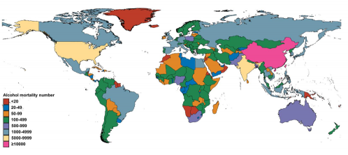 Alcoholgebruik in toenemende mate oorzaak leverkanker 