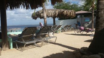 In Bonaire blijkt 15% van de bestuurders teveel gedronken te hebben